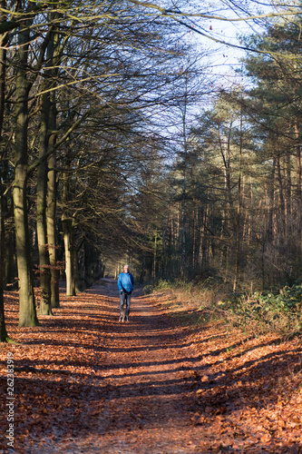 Senior man walking dog in forest