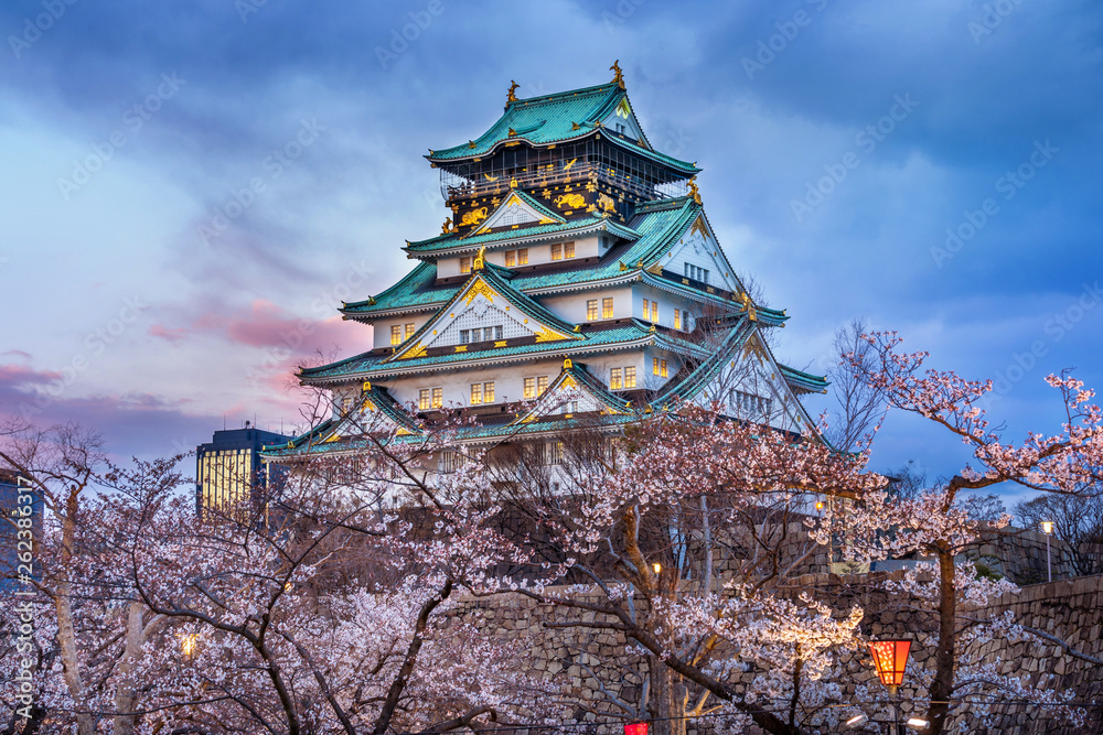 Obraz premium Zamek Osaka i kwiat wiśni wiosną. Sakura w Osace w Japonii.