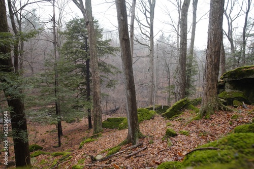 Escarpment   Ontario Nature  Canada