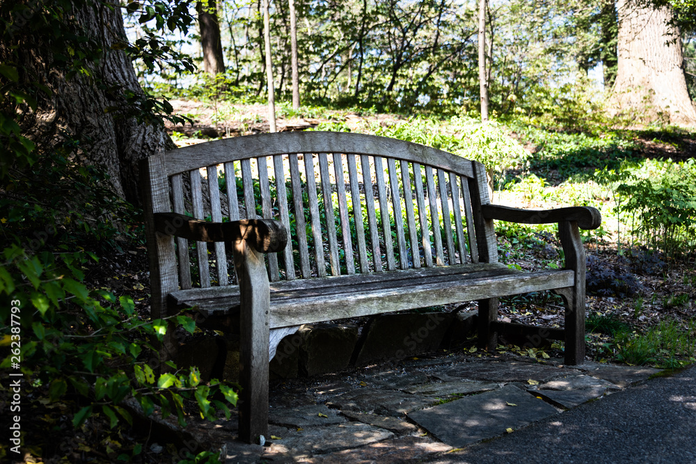 Old Gray Bench