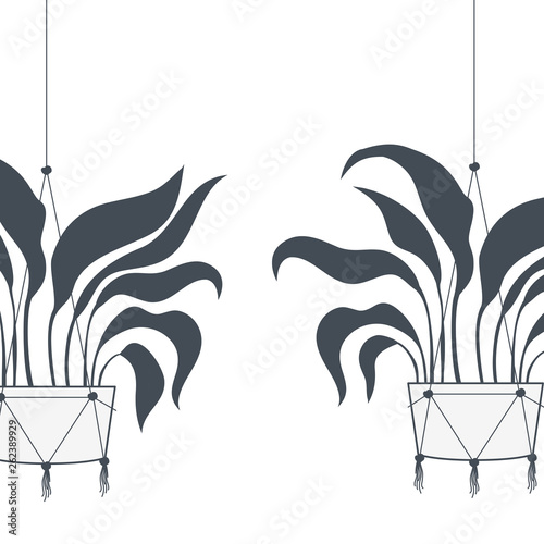 houseplants on macrame hangers icon