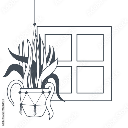 houseplant on macrame hangers icon