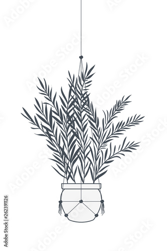 houseplant on macrame hangers icon