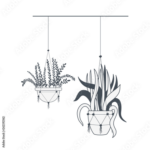 houseplants on macrame hangers icon