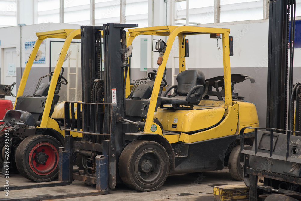 Forklifts in warehouse