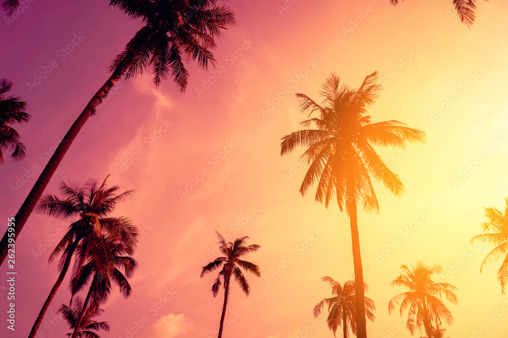 Tropical palm tree with colorful bokeh sun light on sunset sky cloud abstract background.