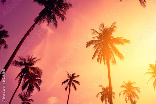 Obraz Tropikalny drzewko palmowe z kolorowym bokeh słońca światłem na zmierzchu nieba chmury abstrakta tle.