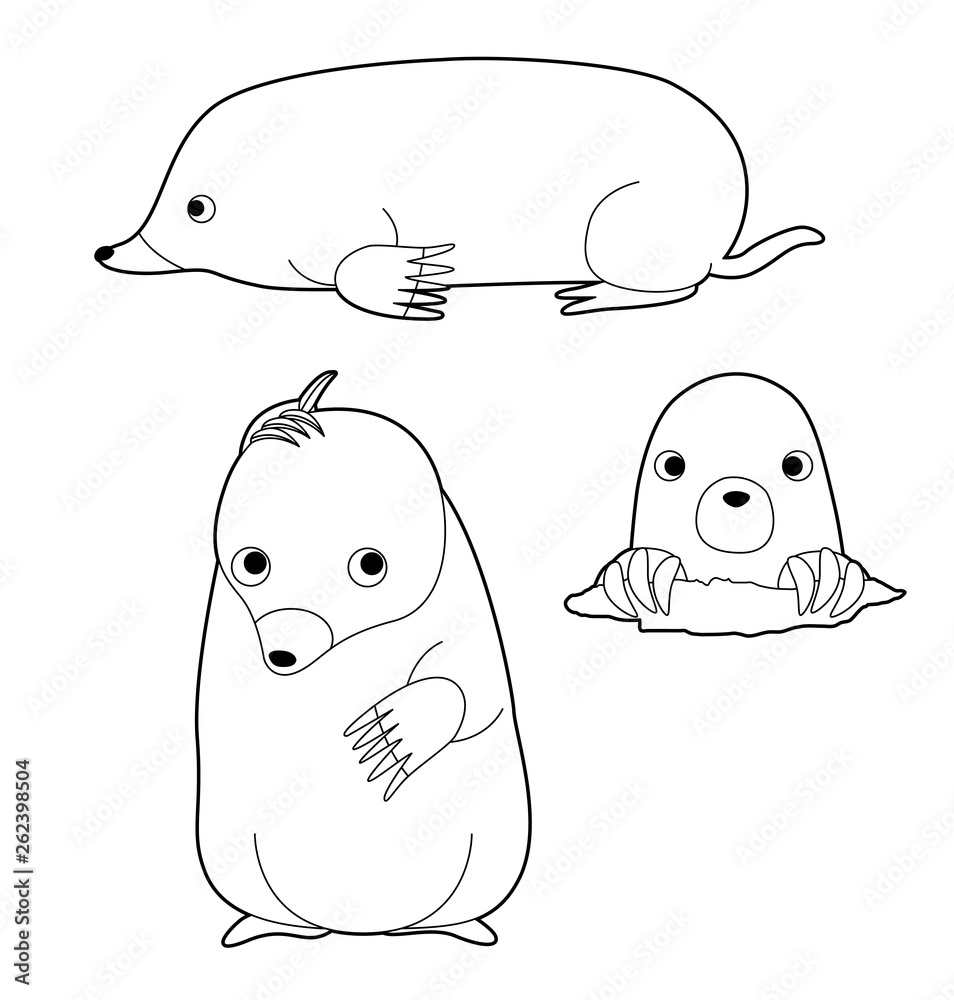 Cute Mole Poses Cartoon Vector Illustration Coloring Stock Vector | Adobe  Stock