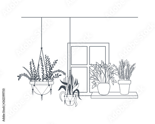 houseplants on macrame hangers icon
