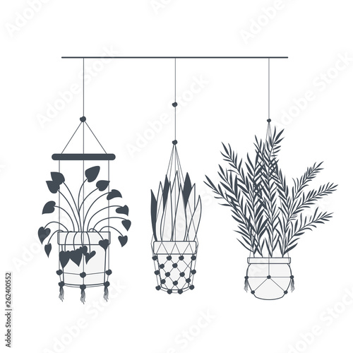 houseplants on macrame hangers icon