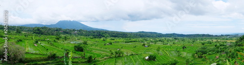 A panoramic view on a rice fields and terasse, ocean coastline and volcanic mountains, Bali, Indonesia