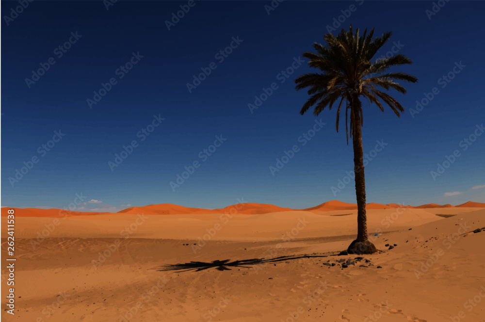 Lone Palm Tree near Marzouga Morocco
