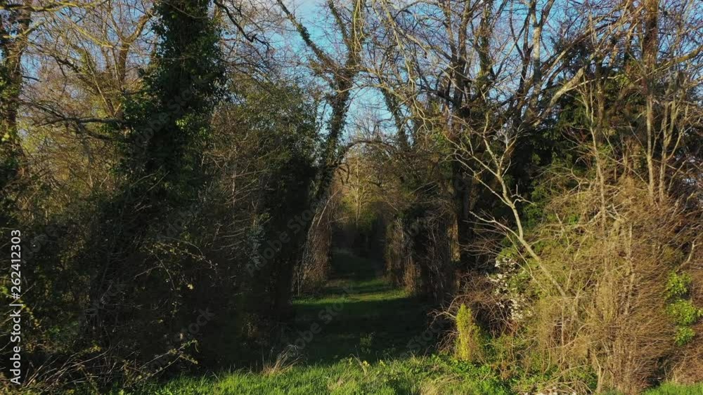 A stabilized shot of a French garden in the middle of an open field.
Shot in Cognac, France. A stabilized shot of a French garden in the middle of an open field.
Shot in Cognac, France.