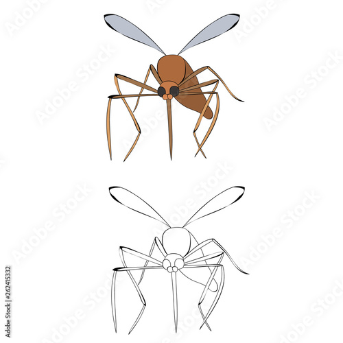 isolated, mosquito insect with sketch