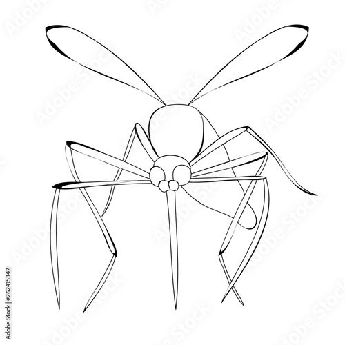 vector isolated mosquito insect sketch