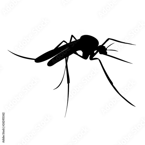 isolated, mosquito silhouette, insect © zolotons