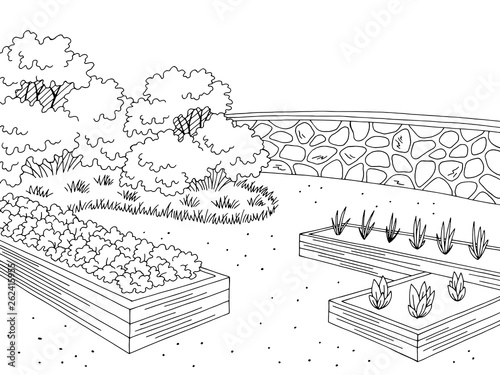 Market garden graphic black white landscape sketch illustration vector