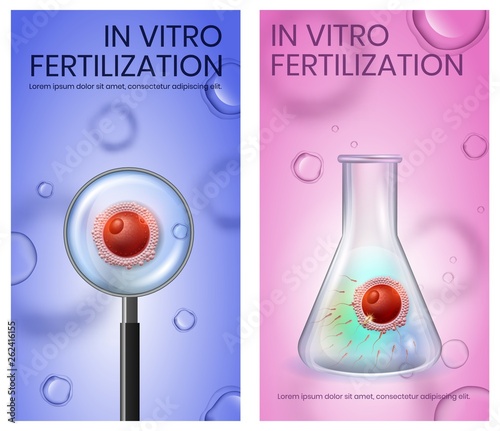 Female Egg Fecundation inside of Test Tube. IVF