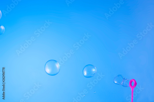 floating bubble soap in the blue sky
