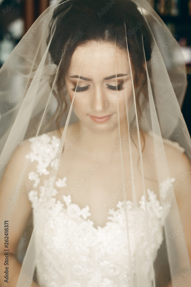 Gorgeous brunette bride under veil posing near window, portrait of beautiful bride face close-up, morning wedding preparation concept Gorgeous brunette bride under veil posing near window, portrait of beautiful bride face close-up, morning wedding preparation concept