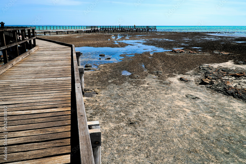 Fototapeta premium Hamelin Pool Marine Nature Reserve