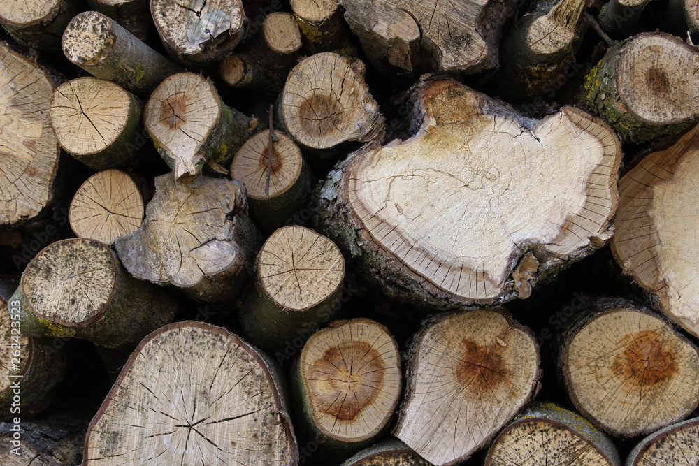 Wooden log background and texture. Wooden log background and texture.