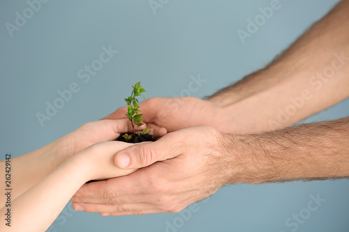 Adult and child hands holdi...