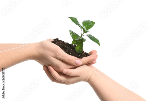 Hands of woman and child wi...