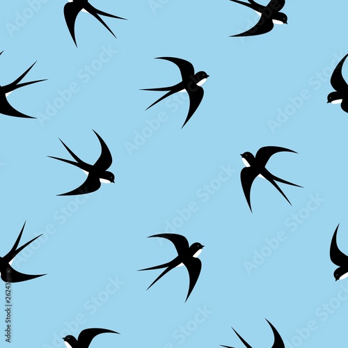 Swallow, swift, birds. Graphic vector pattern. Decorative seamless background
