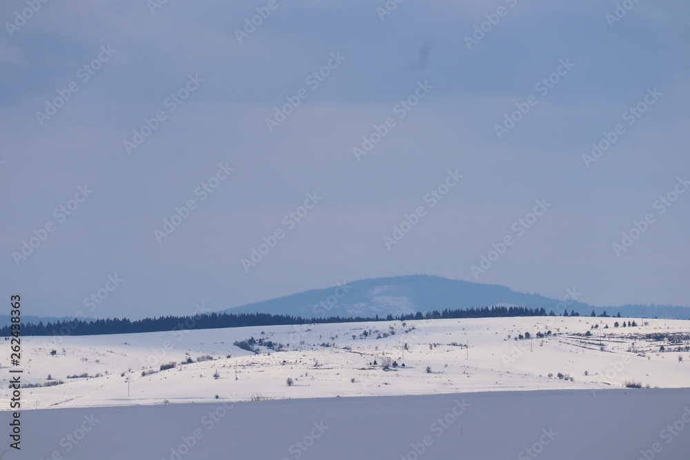 Mountain winter landscape of snowed forest Mountain winter landscape of snowed forest