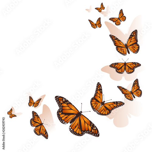 Beautiful butterfly flying in a circle background. Vector.