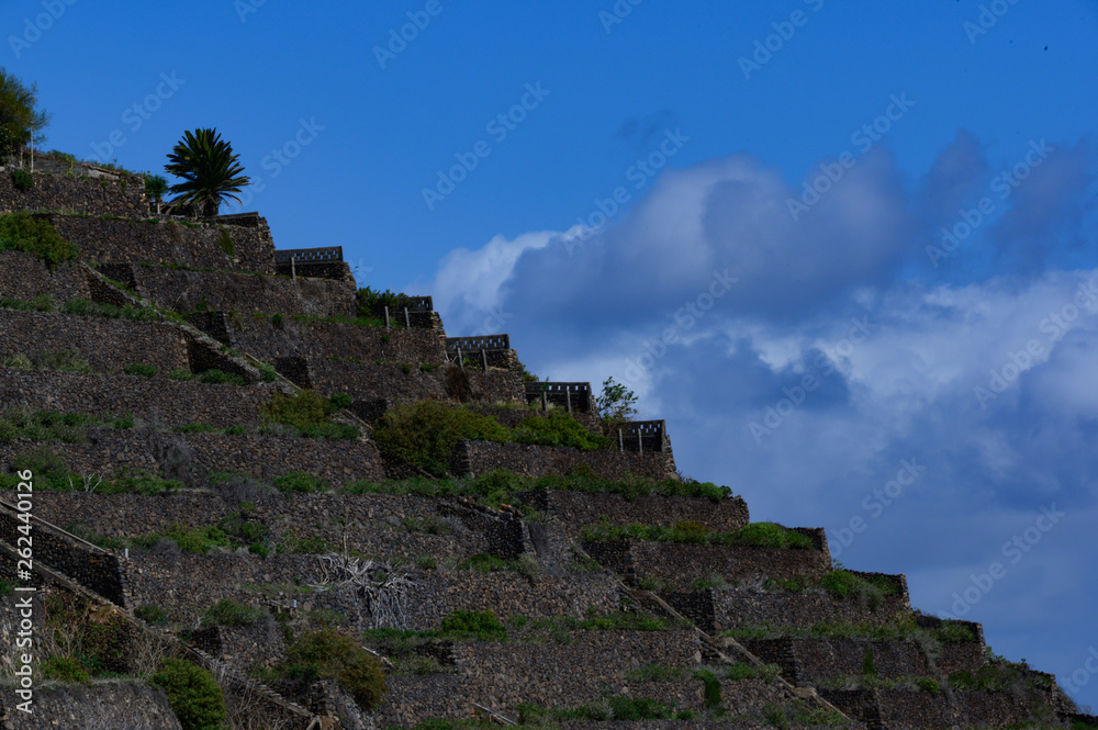 Fototapeta premium in Terrassen an den Berghängen angelegte Feldflächen auf La Gomera