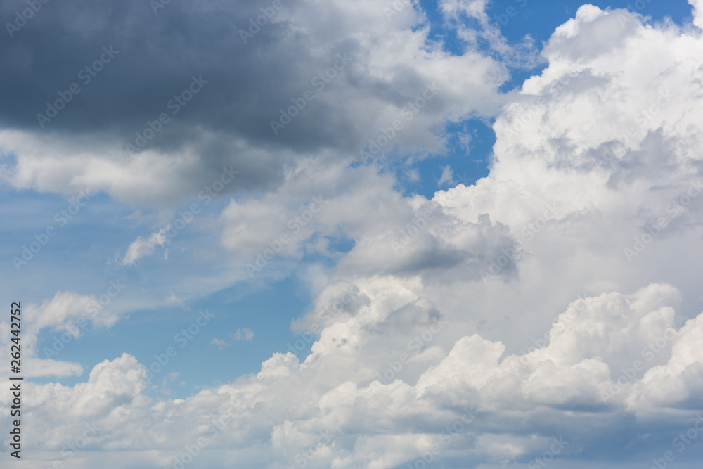 white Cumulus clouds in the blue sky white Cumulus clouds in the blue sky