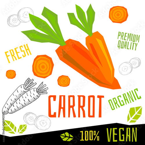 Carrot icon label fresh organic vegetable, vegetables nuts herbs spice condiment color graphic design vegan food. Hand drawn vector illustrations.