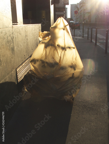 Obraz na plátně odd looking christmas tree wrapped in plastic waiting to be disposed of in Paris