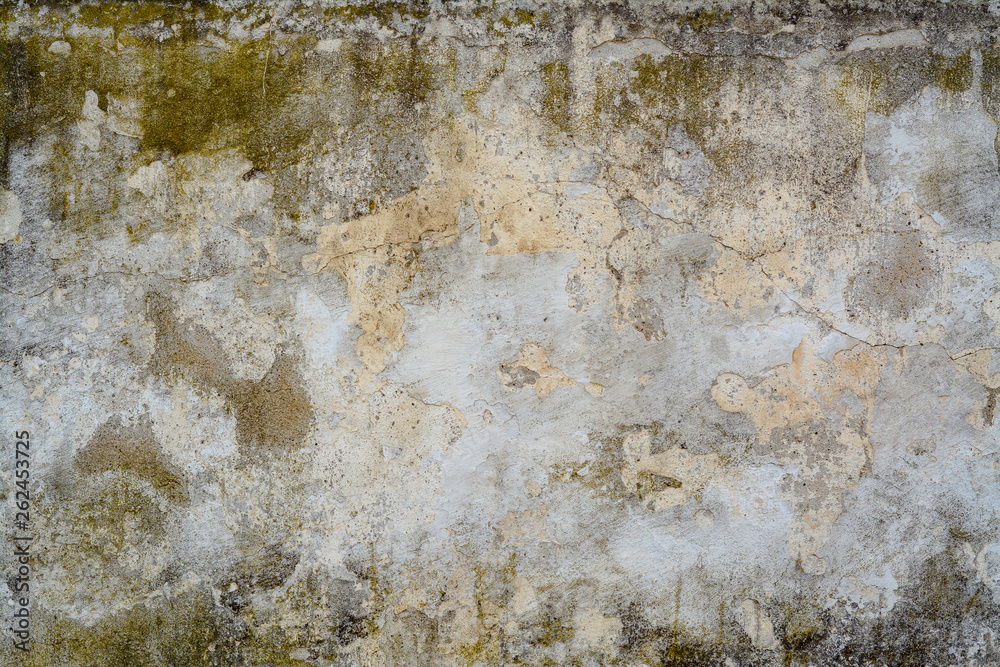 Old concrete wall with mold, moss and cracks Old concrete wall with mold, moss and cracks