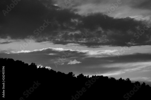 Sunset and tree silhouettes