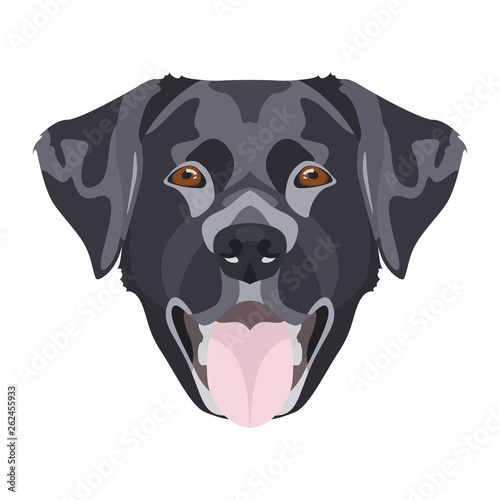 Illustration schwarzer Labrador