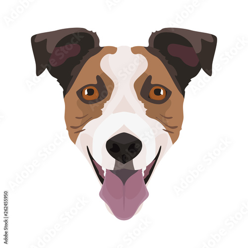 Illustration Jack Russell Terrier