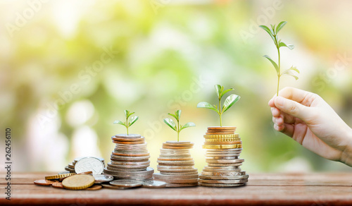 Hand of young girl with tree growing plant on coins. Concept business, investment