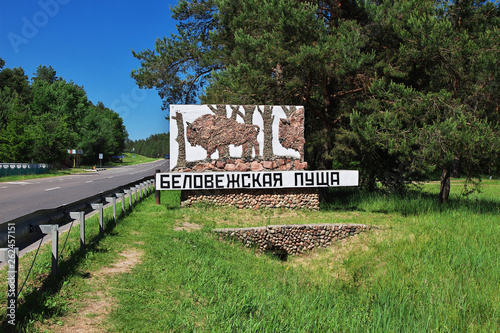 Belovezhskaya Pushcha,  Belarus photo