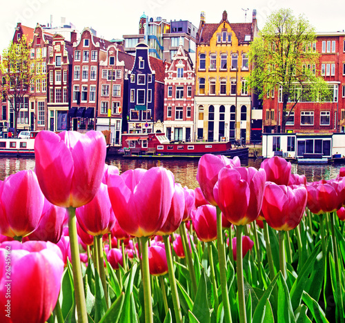 Beautiful magic spring landscape with tulips  and old Dutch buildings  in Amsterdam, Holland. amazing places. popular tourist atraction