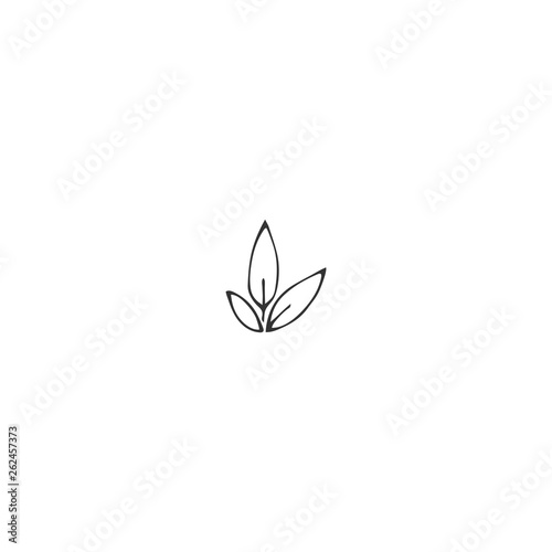 Hand drawn isolated illustration. Vector garden logo element, a sprout with leaves.