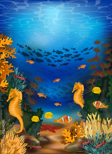Fototapeta Naklejka Na Ścianę i Meble -  Underwater banner  with algae and sea horse, vector illustration