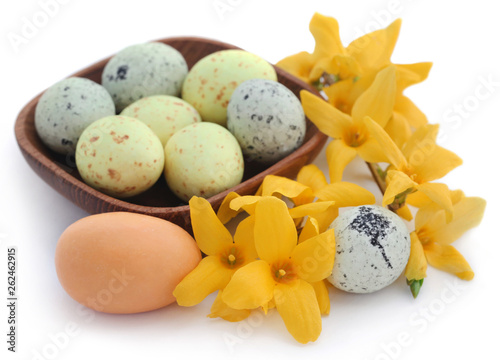 Easter egg with spring flower forsythia
