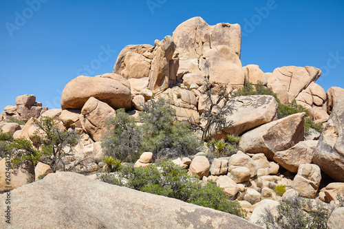 Rock formations in the Joshua Tree National Park, California, USA.
