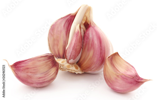 Garlics over white background