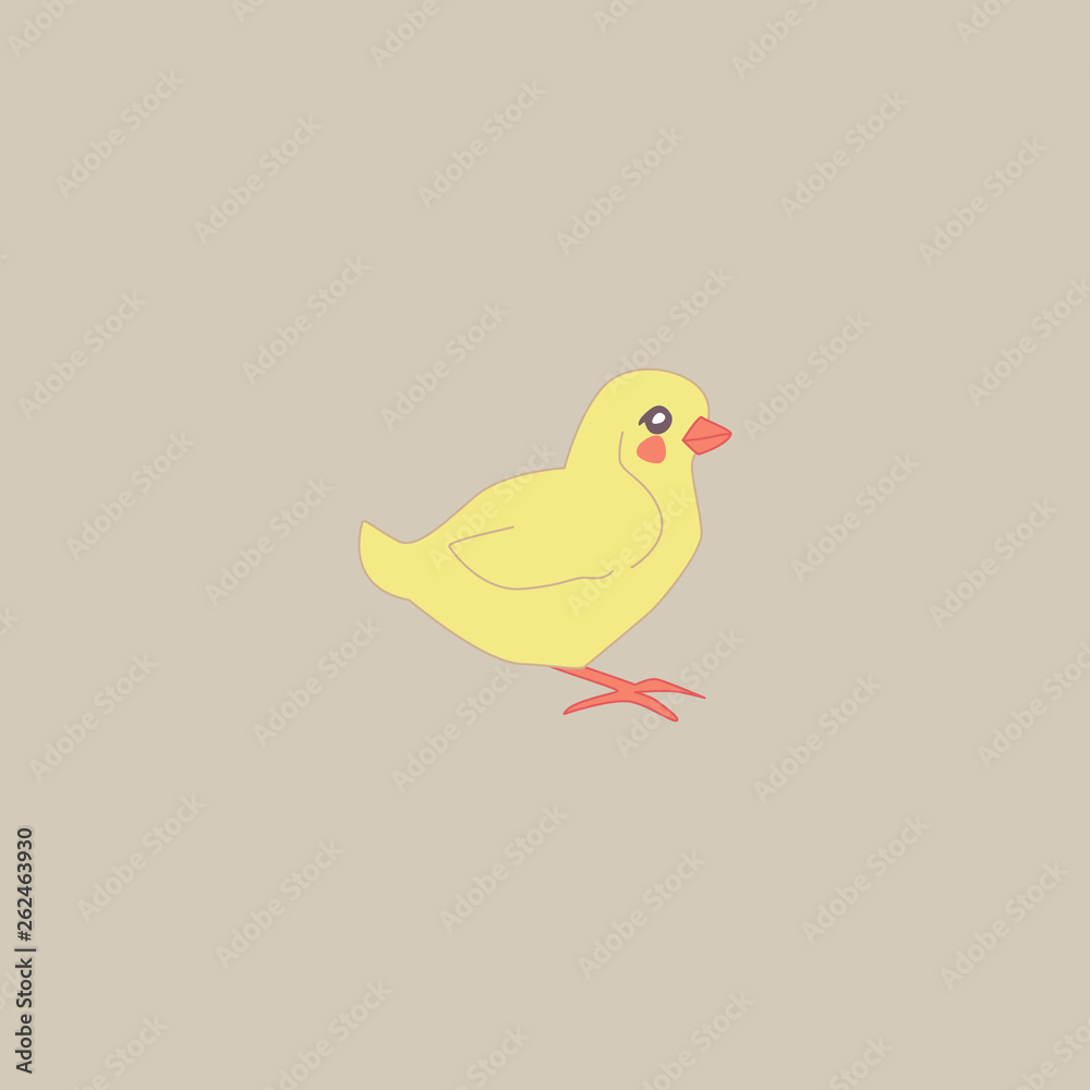 chick standing side view