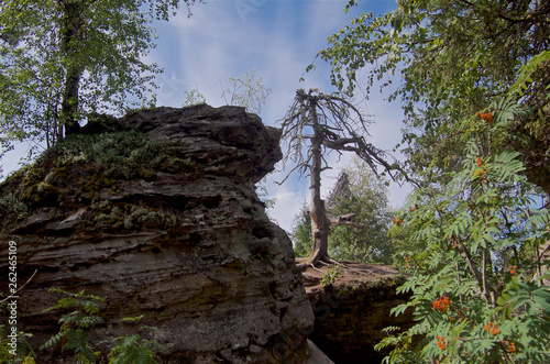 Landscape geomorphological natural monument "Stone city". Perm region. Russia