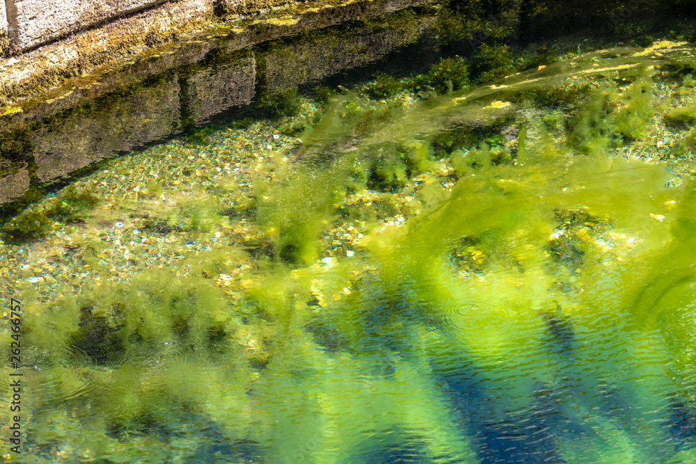the Danube spring in Donaueschingen Germany the Danube spring in Donaueschingen Germany